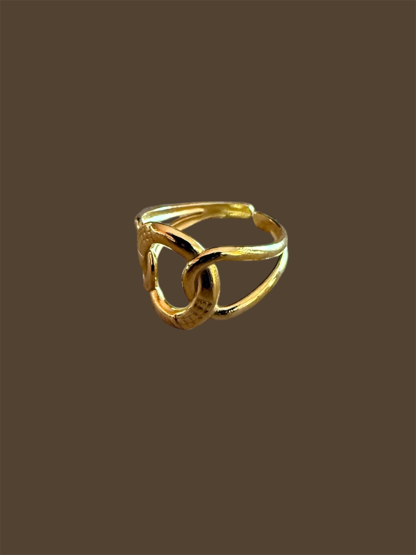 Anillo Boat